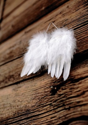 Angels Project 2_copyright pixabay_congerdesign.jpg