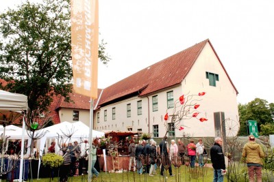 Kunsthandwerkermarkt am Bachmann-Museum.jpg